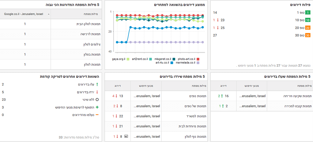 בדיקת מיקום בגוגל