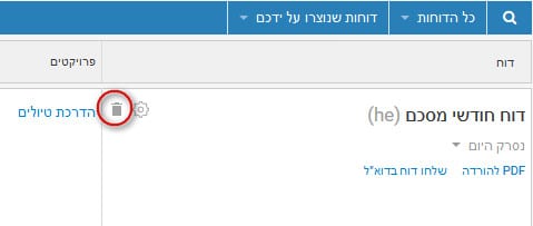 מחיקת דוח